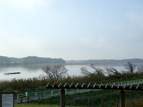 Imbanuma Lake-成田市必去景点