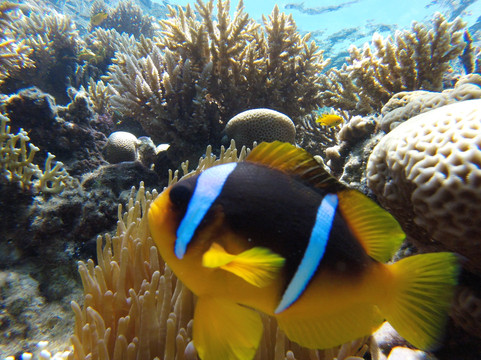 Tours Hurghada-赫尔格达必去景点