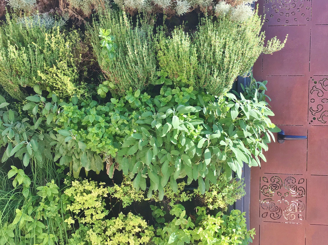 Villa Flora Relais主图