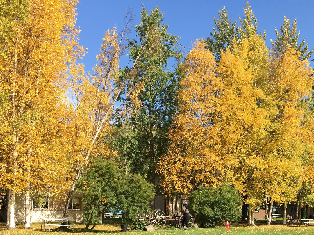 Moose Cab & Tours-费尔班克斯必去景点