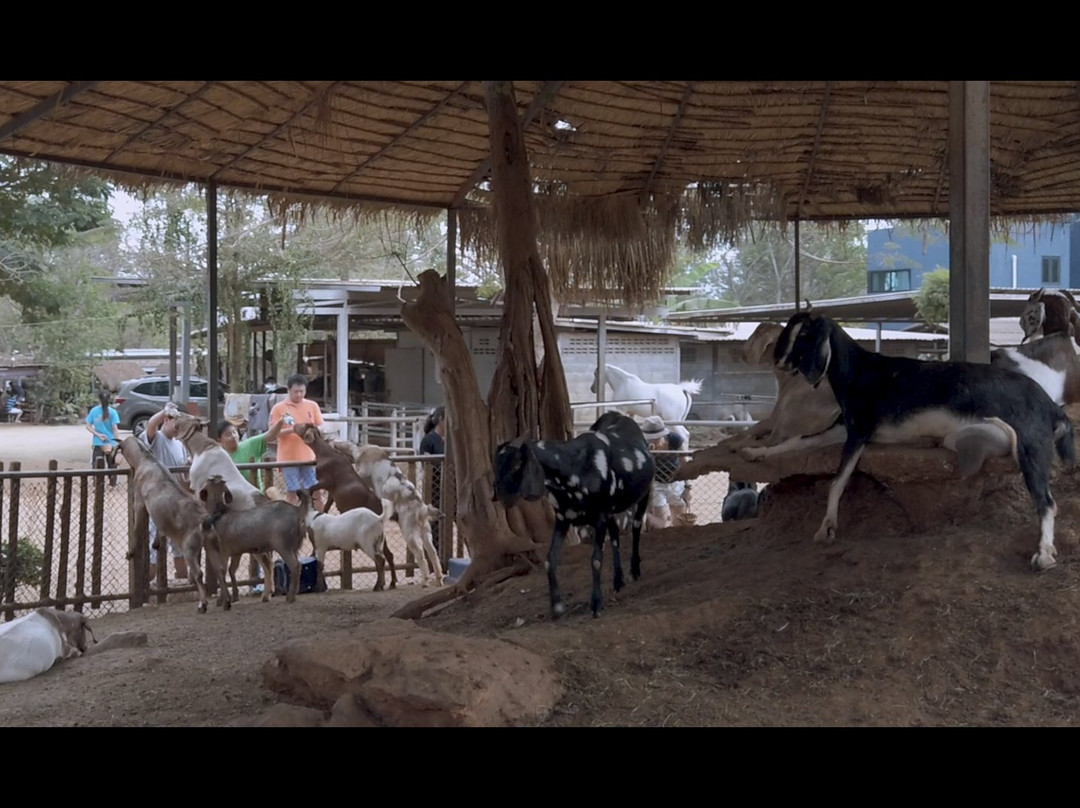 Farm Mor Por景点图片