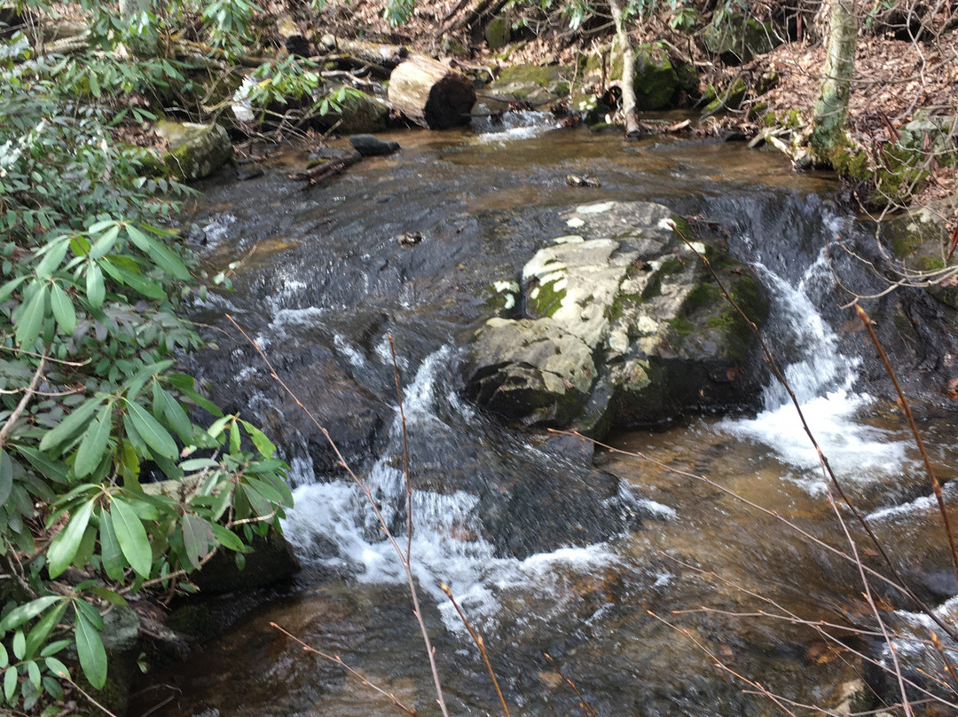 The Cascades Trail景点图片