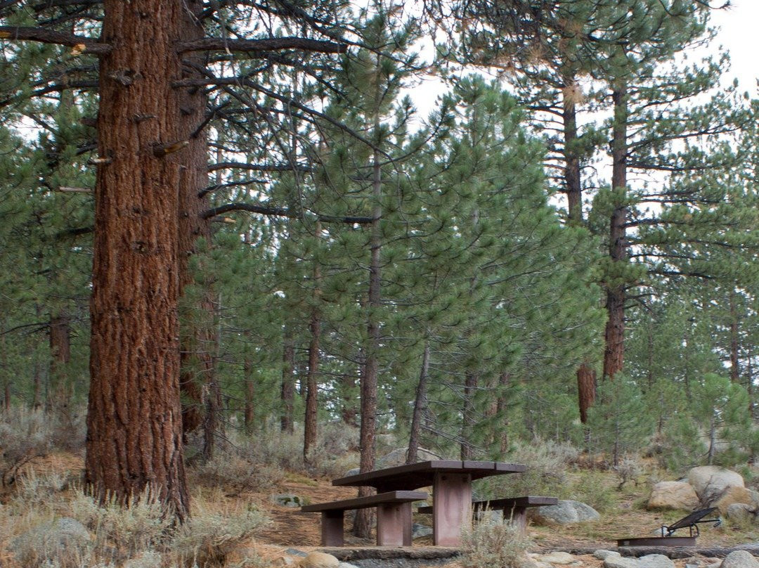 Buckeye Campground