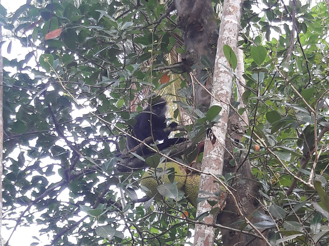 圣殿山酒店主图