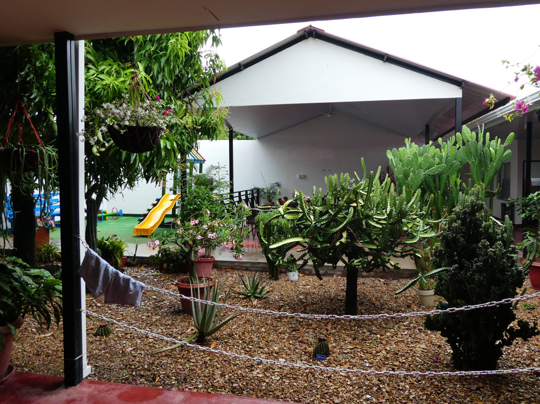 Hotel Villa Paraiso主图