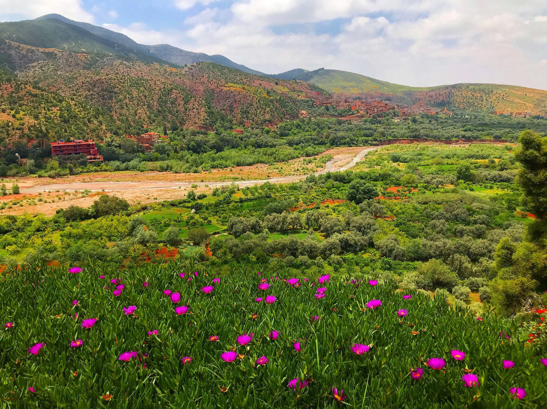 Vallée Des Roses-厄尔克拉莫戈纳必去景点