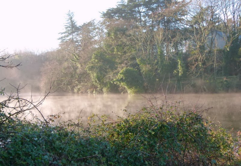 Etang du Ter景点图片