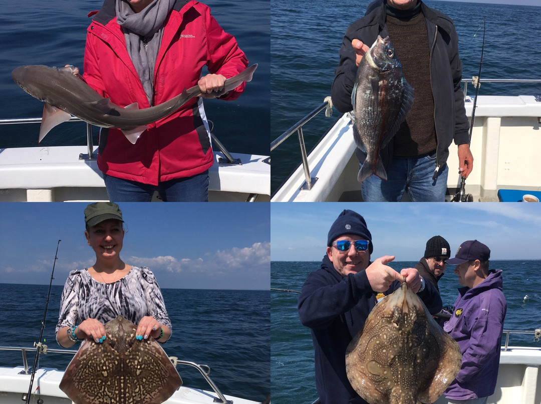 Greg Pitt Sea Fishing-Milford on Sea必去景点