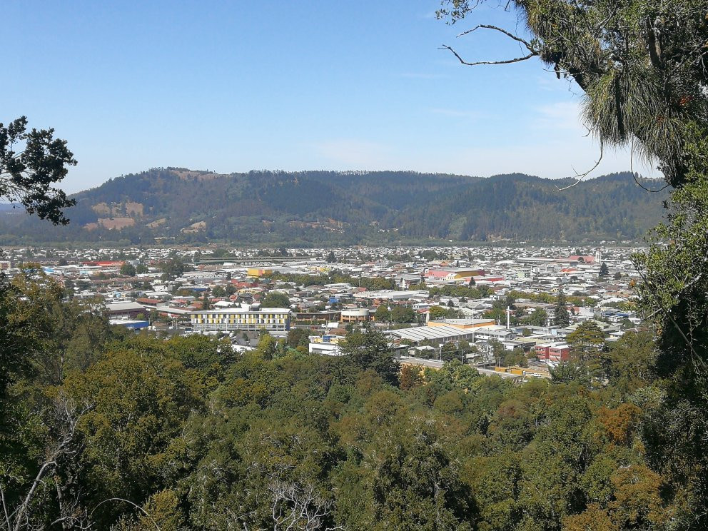 Monumento Natural Cerro Ñielol-特木科必去景点