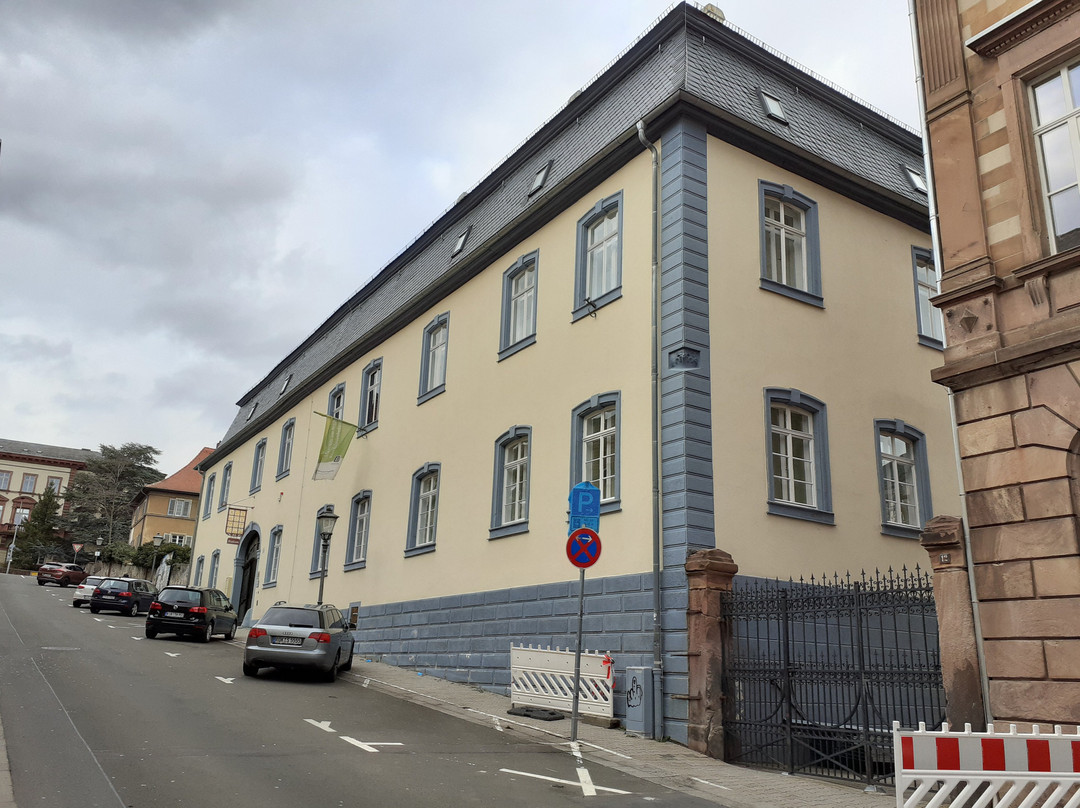 Museum im Stadtpalais Kirchheimbolanden景点图片