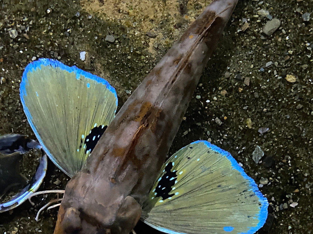 EcoWorld Aquarium & Wildlife Rehabilitation Centre景点图片