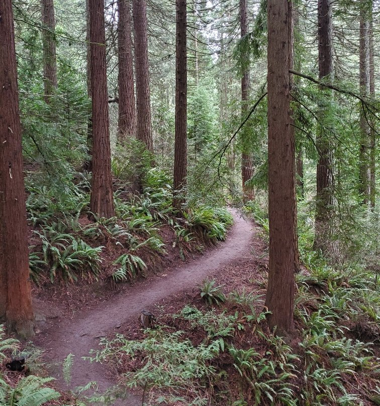 Hoyt Arboretum-波特兰必去景点