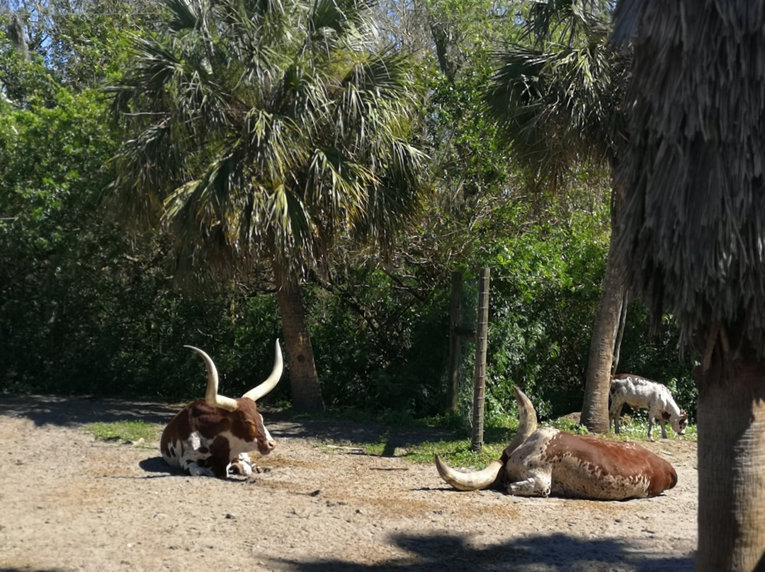 Wild Florida Airboats & Gator Park-Kenansville必去景点