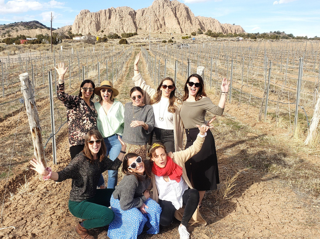 New Mexico Wine Tours-圣菲必去景点