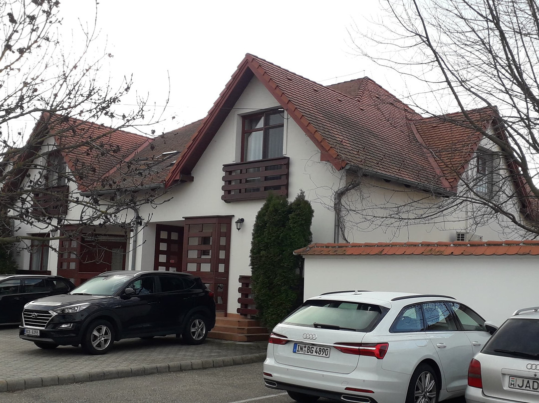 Tornácos Hotel - Hegykő主图