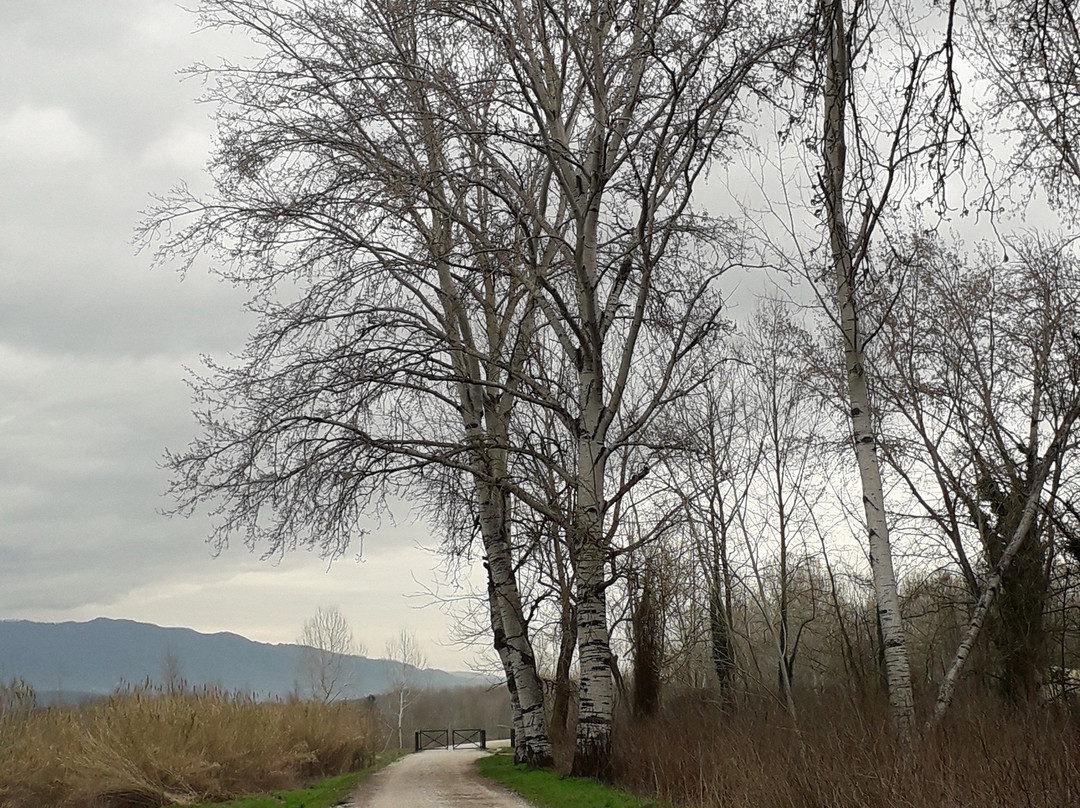 Parco Fluviale del Serchio景点图片