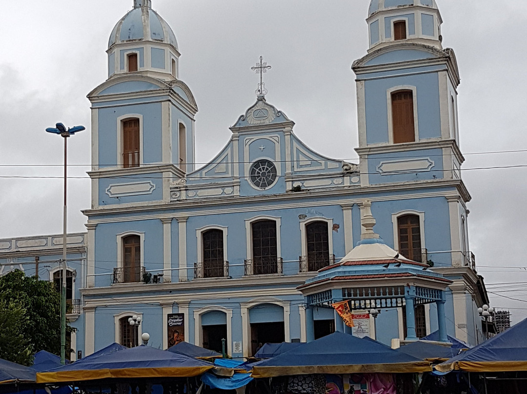 Catedral Metropolitana Nossa Senhora da Conceição景点图片