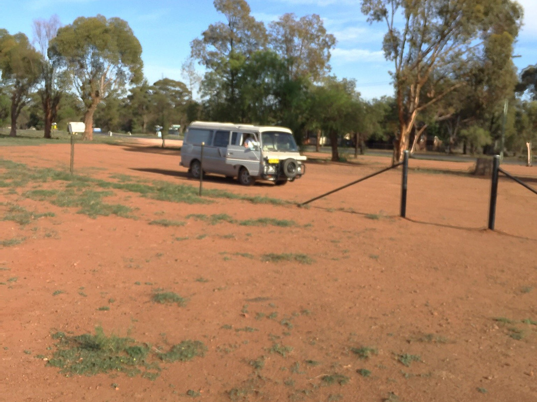 Weethalle Silo Art-Weethalle必去景点