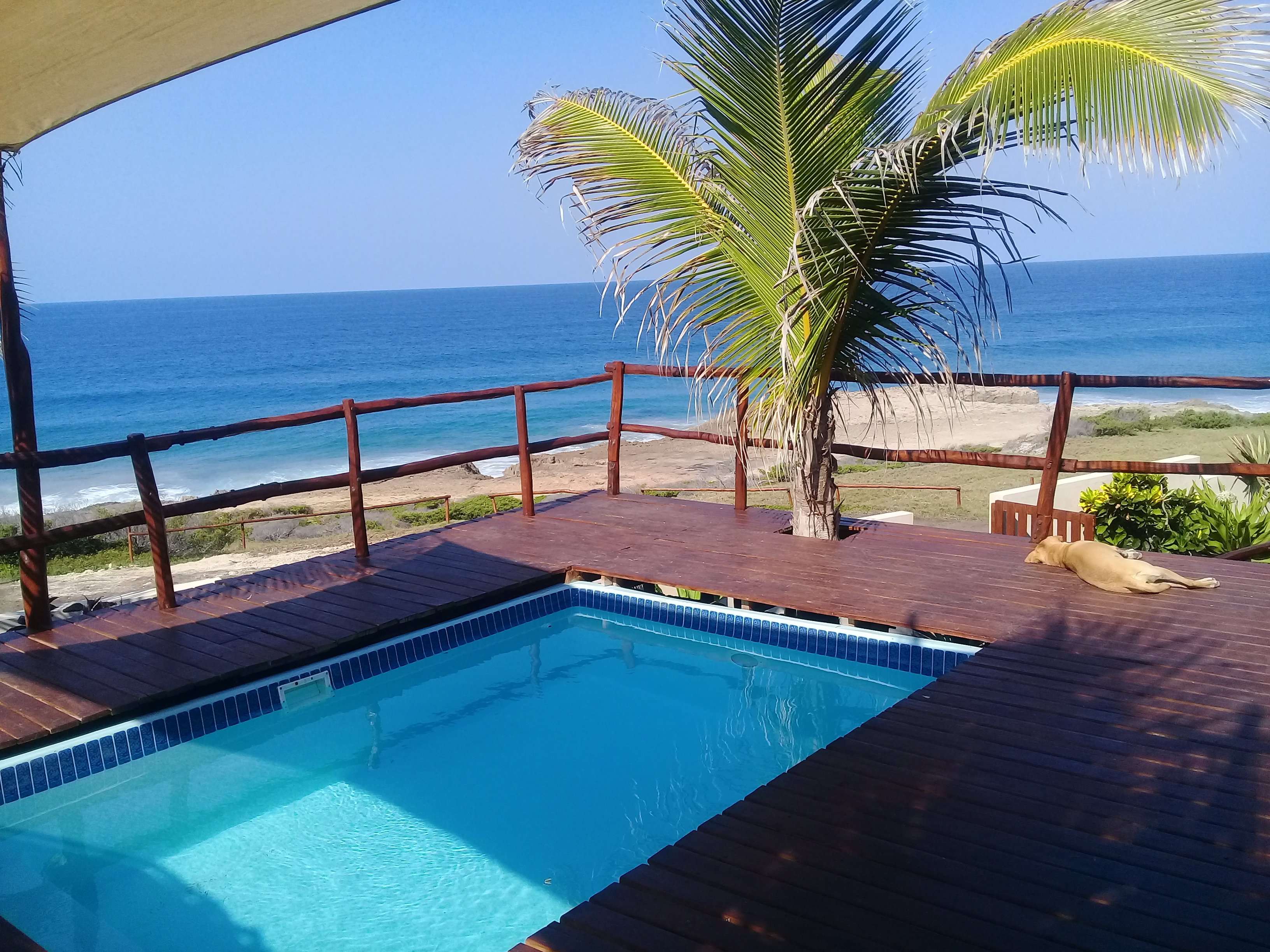 C-Mew Guest House-泳池