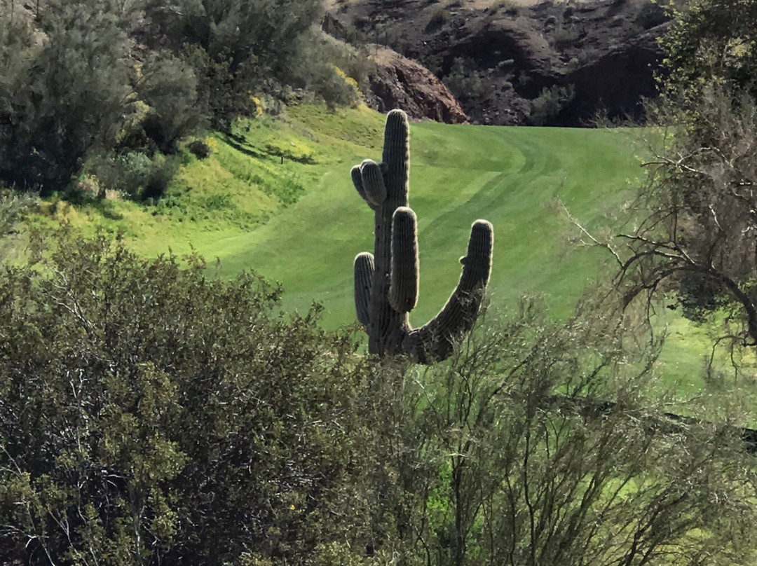 Emerald Canyon Golf Course景点图片