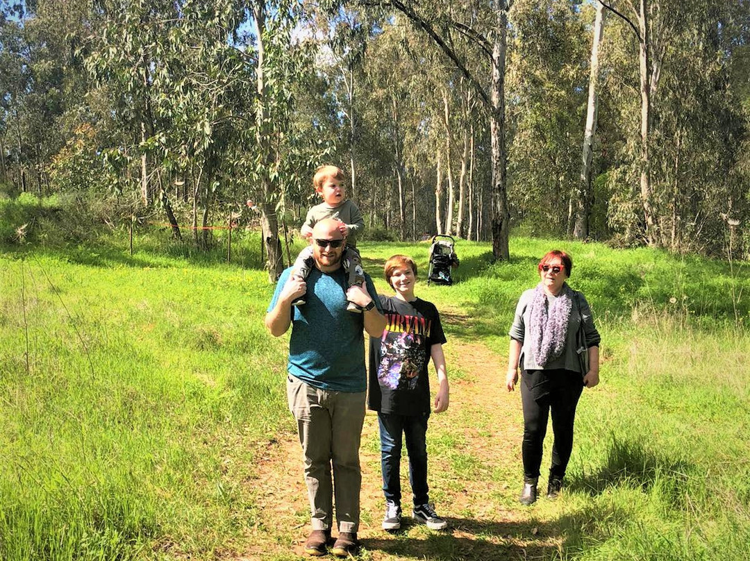 Ilanot Forest-Kadima必去景点