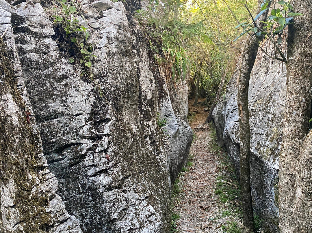 Labyrinth Rocks景点图片
