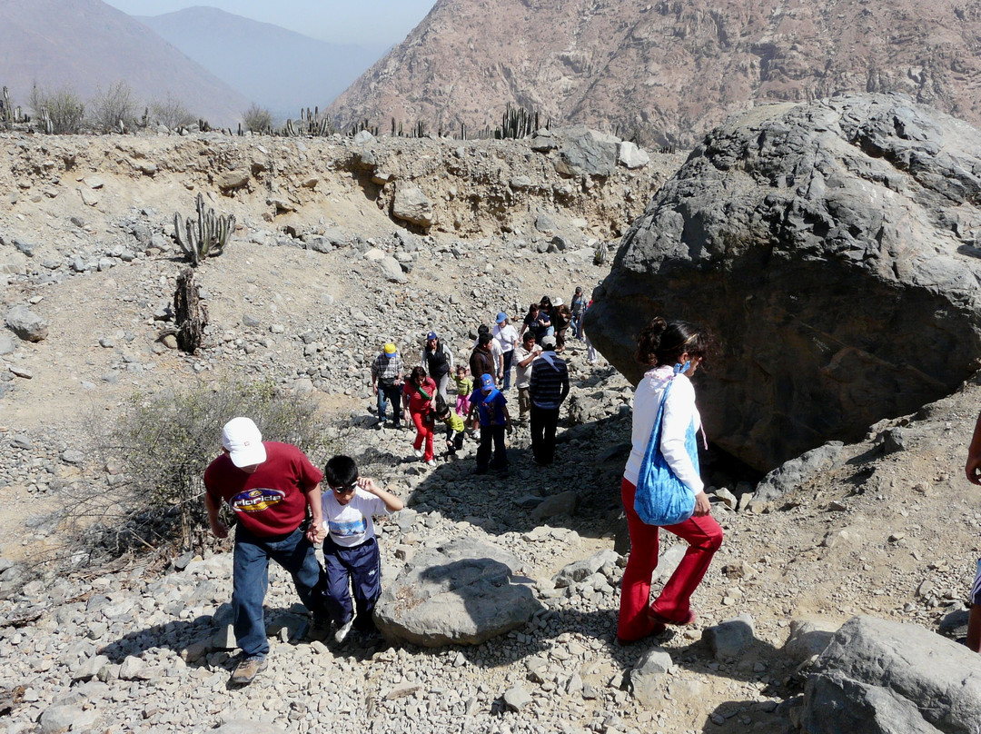 Zona Arqueológica Petroglifos de Checta-Canta必去景点