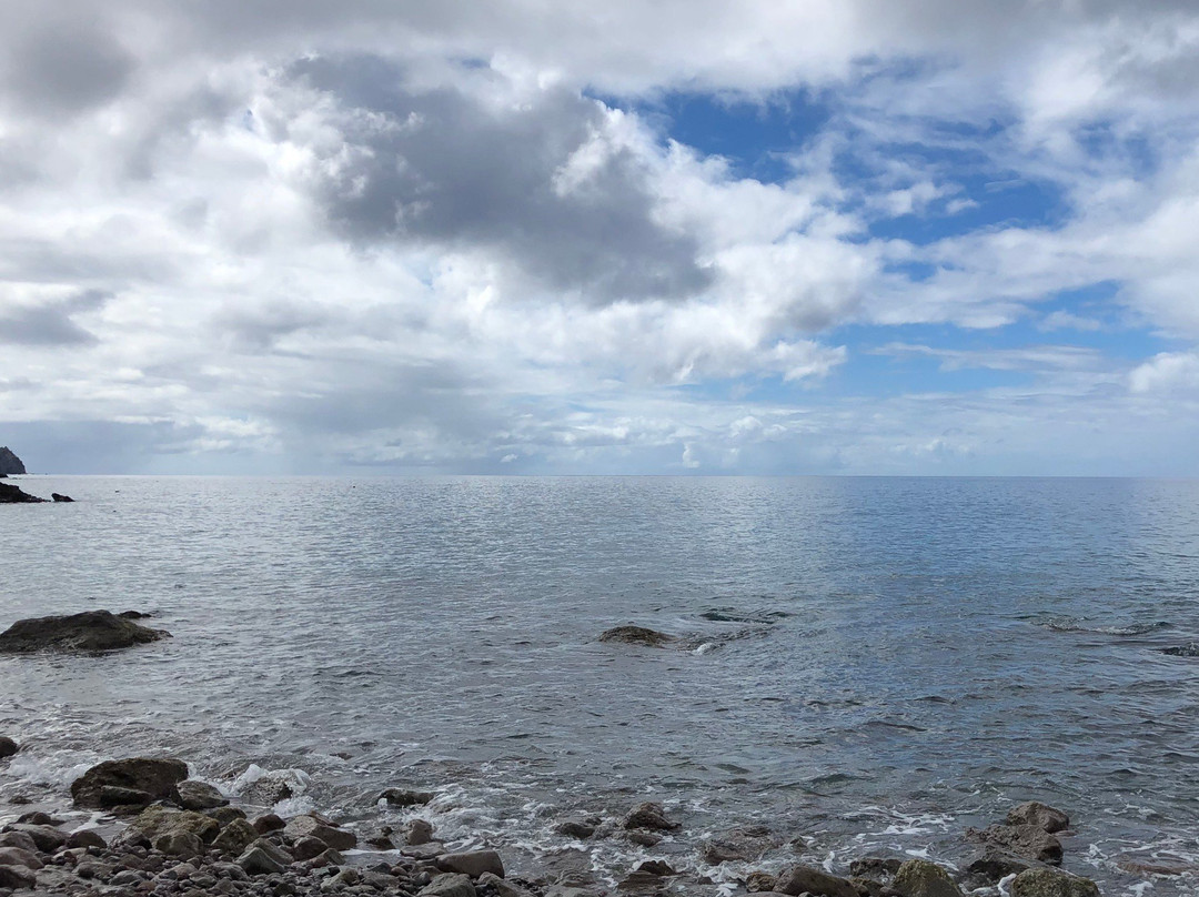 Champagne Reef Dive & Snorkel-罗索必去景点