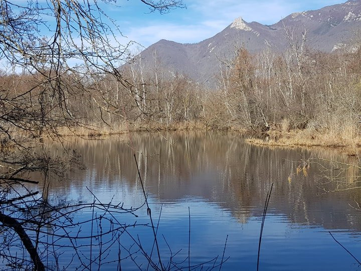 Réserve Naturelle du Marais de Lavours-Ceyzerieu必去景点