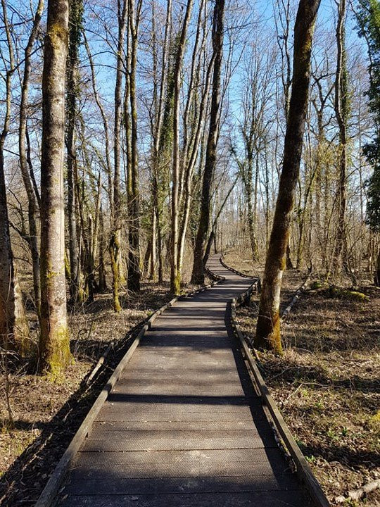 Réserve Naturelle du Marais de Lavours-Ceyzerieu必去景点