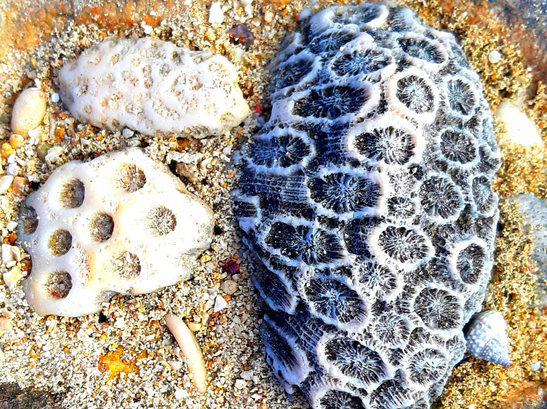 Playa La Boca景点图片