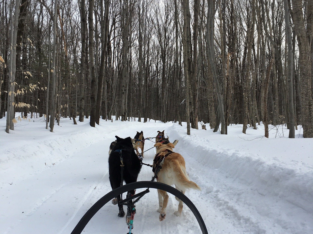 Les Aventures Liguoriennes-Saint-Liguori必去景点