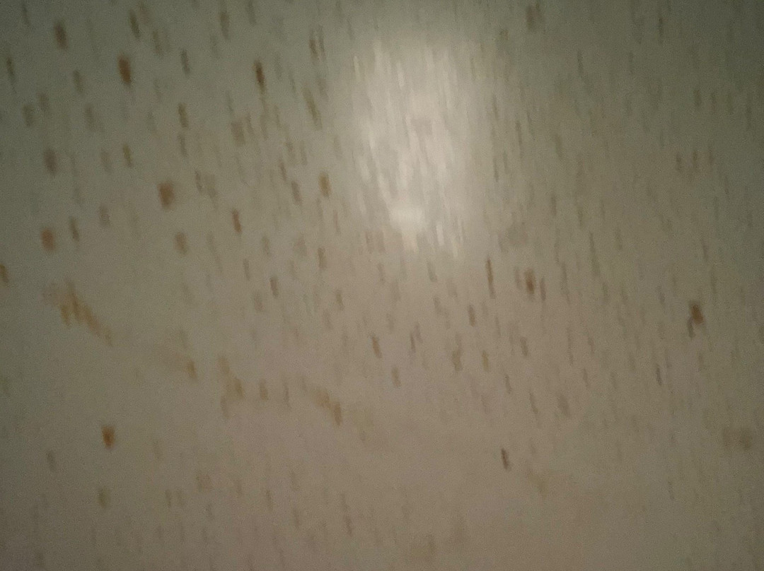 Culver House Hotel主图