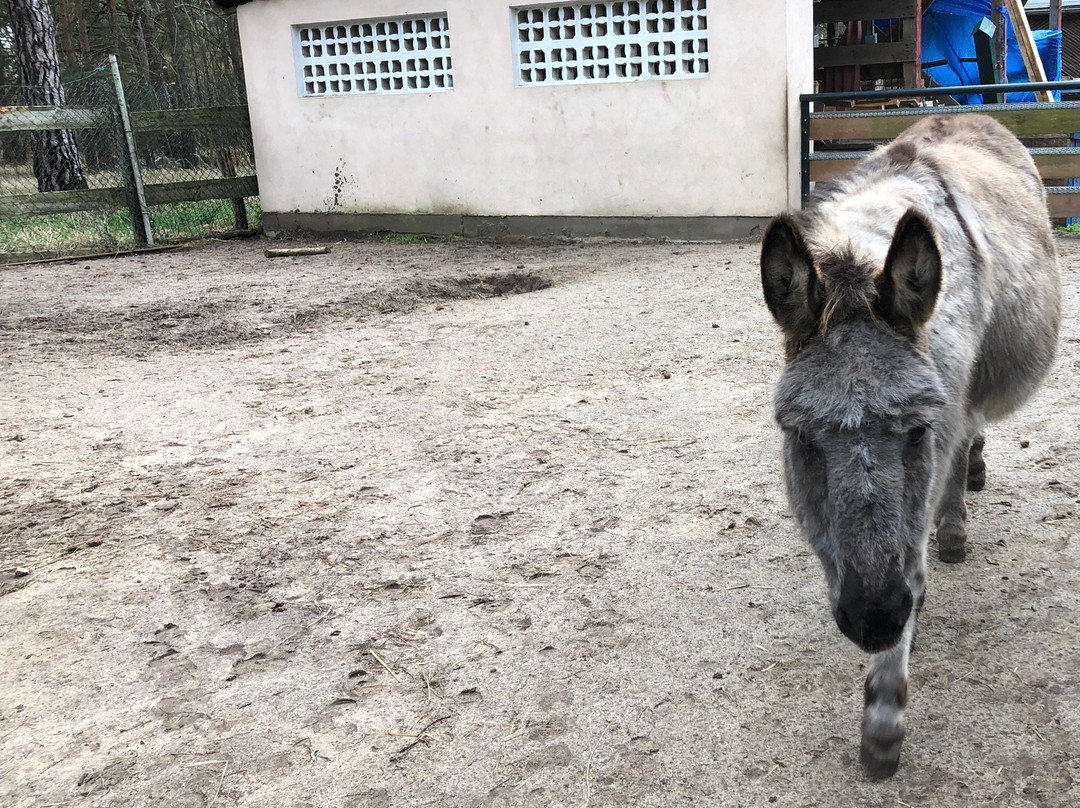 Freizeitpark Wendisch Rietz-Wendisch Rietz必去景点