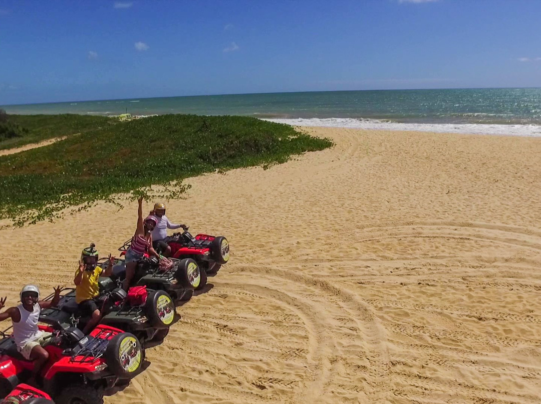 Ponta de Itaquena-特兰科苏必去景点
