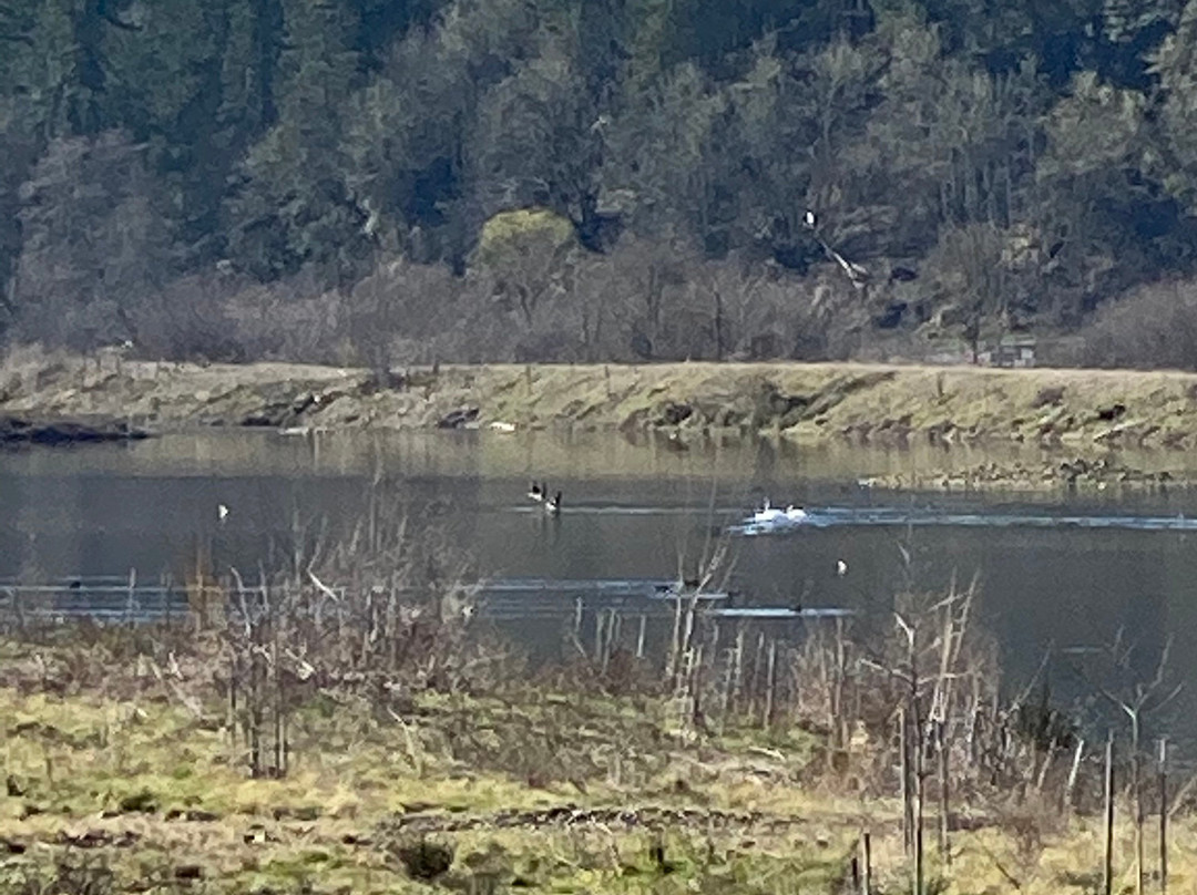 Clearwater Park-斯普林菲尔德必去景点