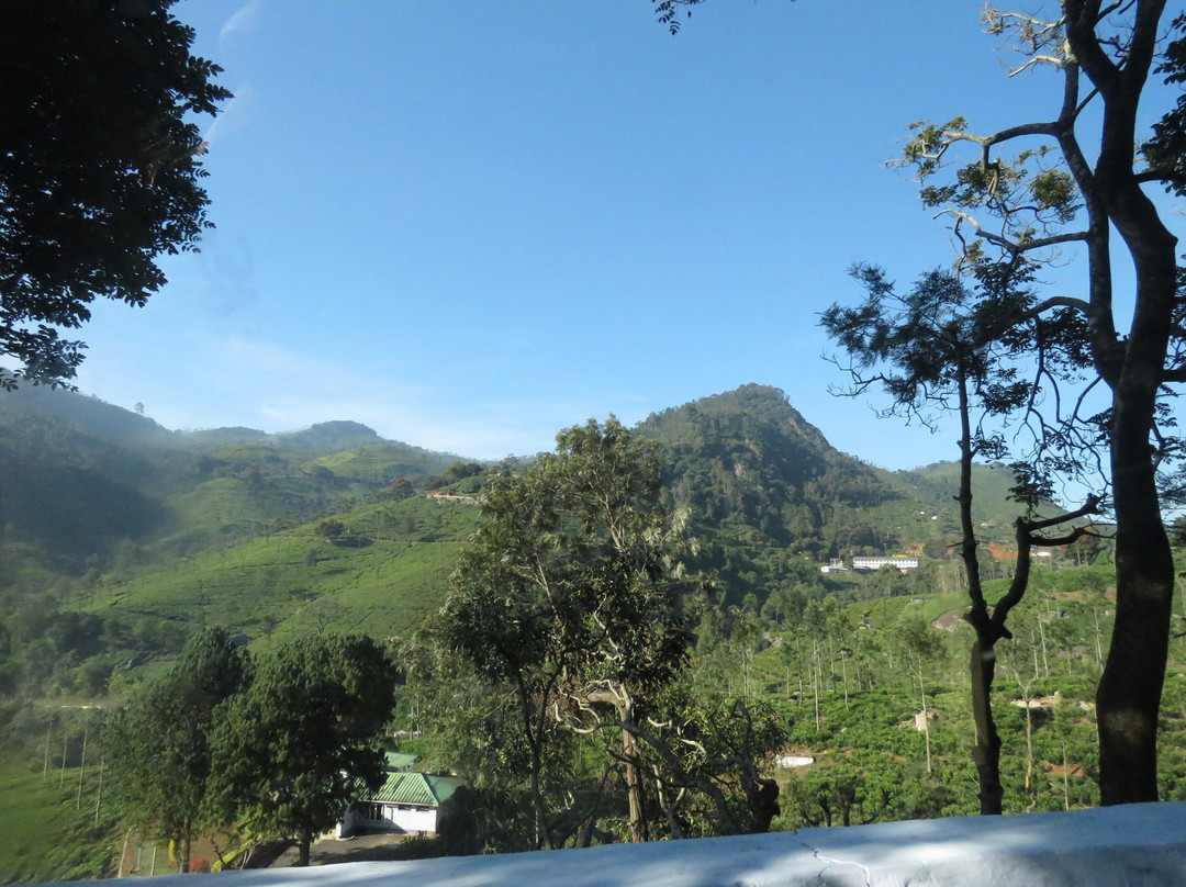 Ketti Valley View Point景点图片