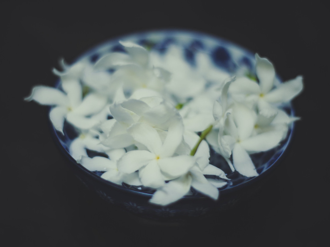 Tonic Spa Hiriketiya-迪克韦勒必去景点