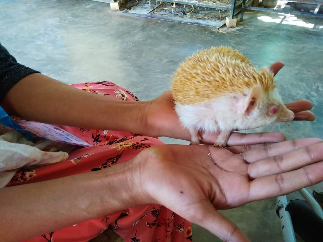 Prani, The Pet Sanctuary-班加罗尔必去景点