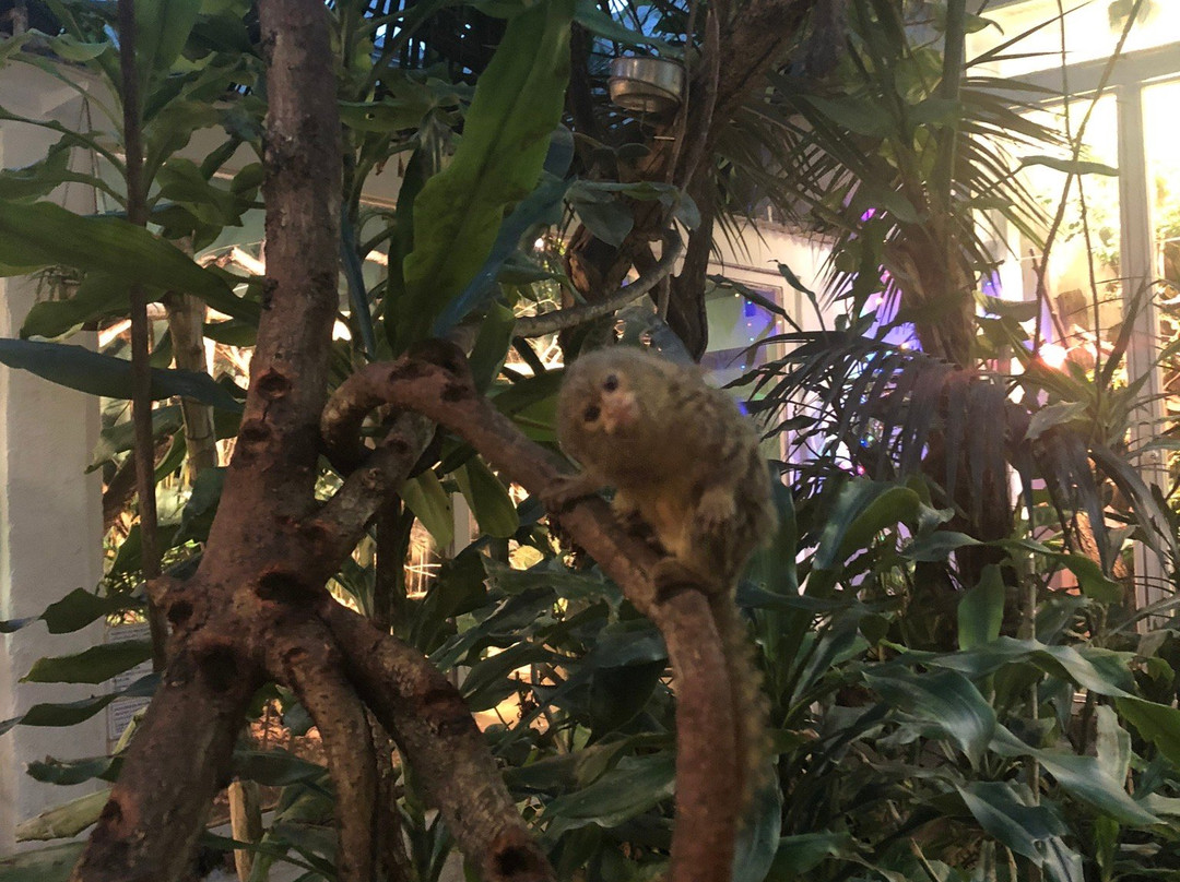 Malmo Reptile Center-马尔默必去景点