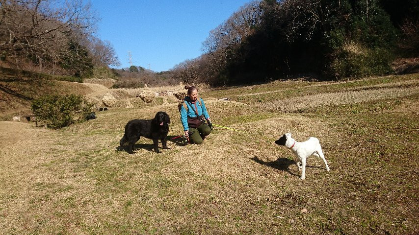Oyamada Park-町田市必去景点