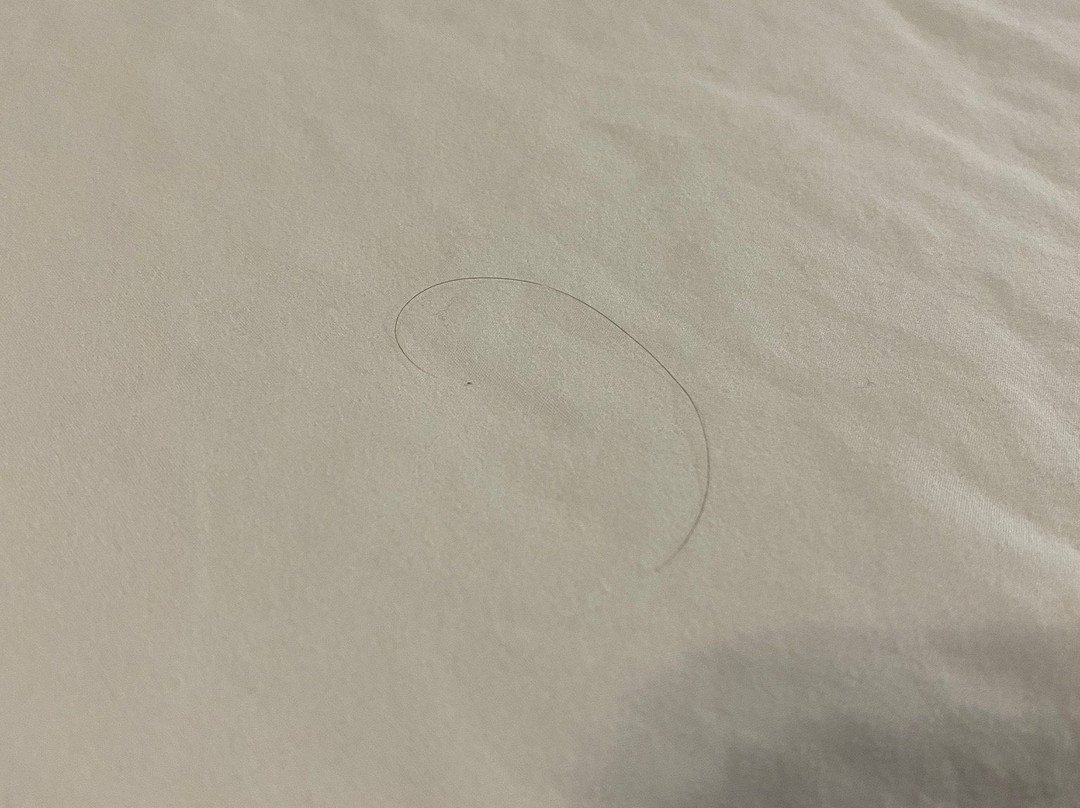 Super 8 by Wyndham Lafayette / Purdue Area主图