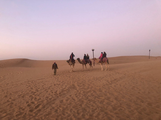 Clifton Tours-沙迦必去景点