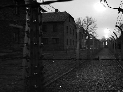 Dydko Cracow Tours-克拉科夫必去景点