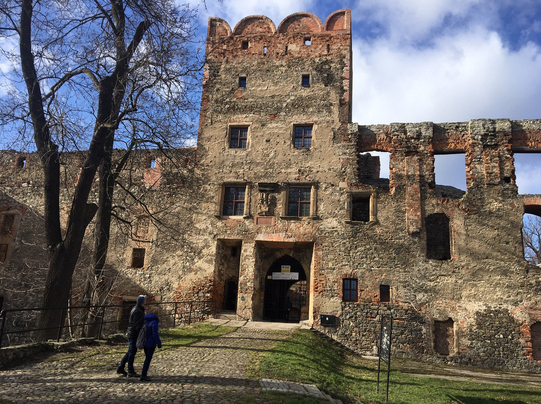 Ruins of Ducal Castle in Zabkowice Slaskie景点图片