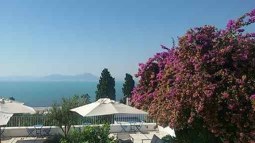 Hotel Dar Said主图