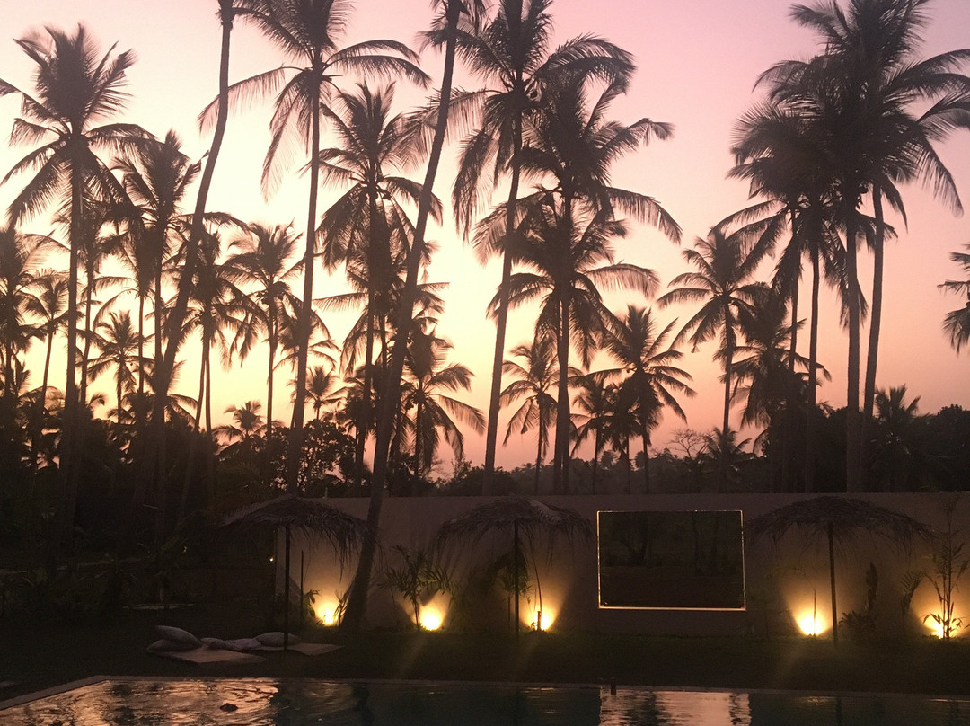 Palm Hotel Sri Lanka主图