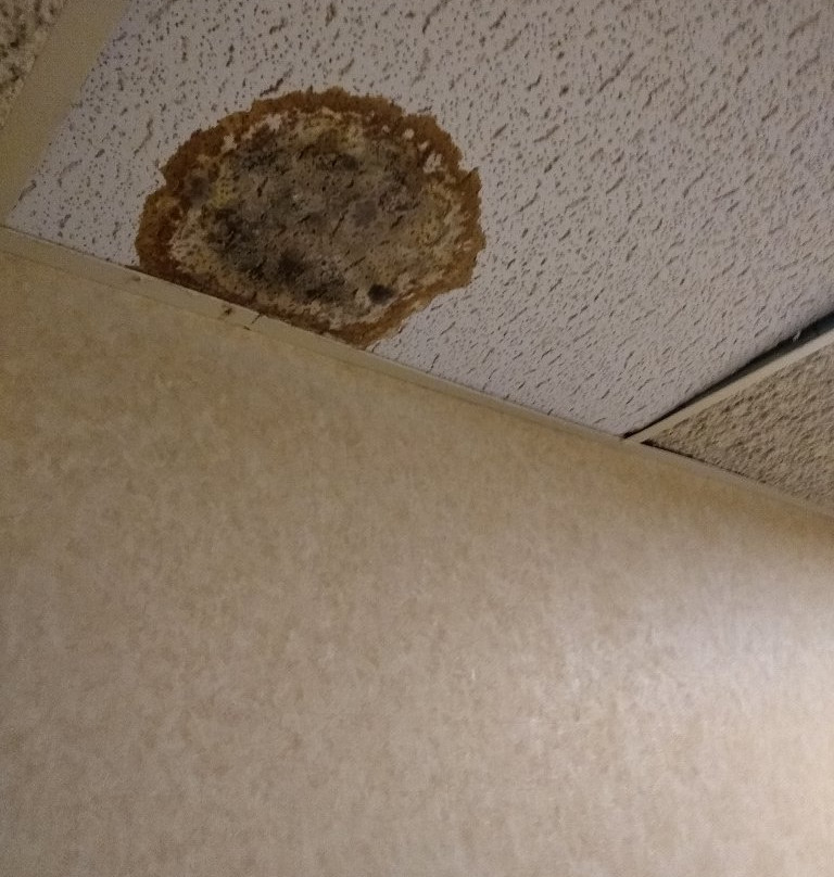 Wingate by Wyndham Livonia主图