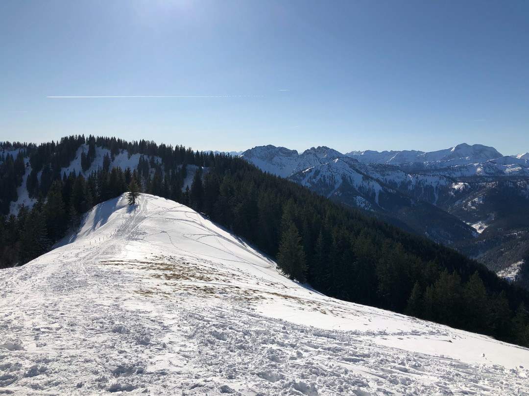 Ski Area - Alpenbahnen Spitzingsee景点图片