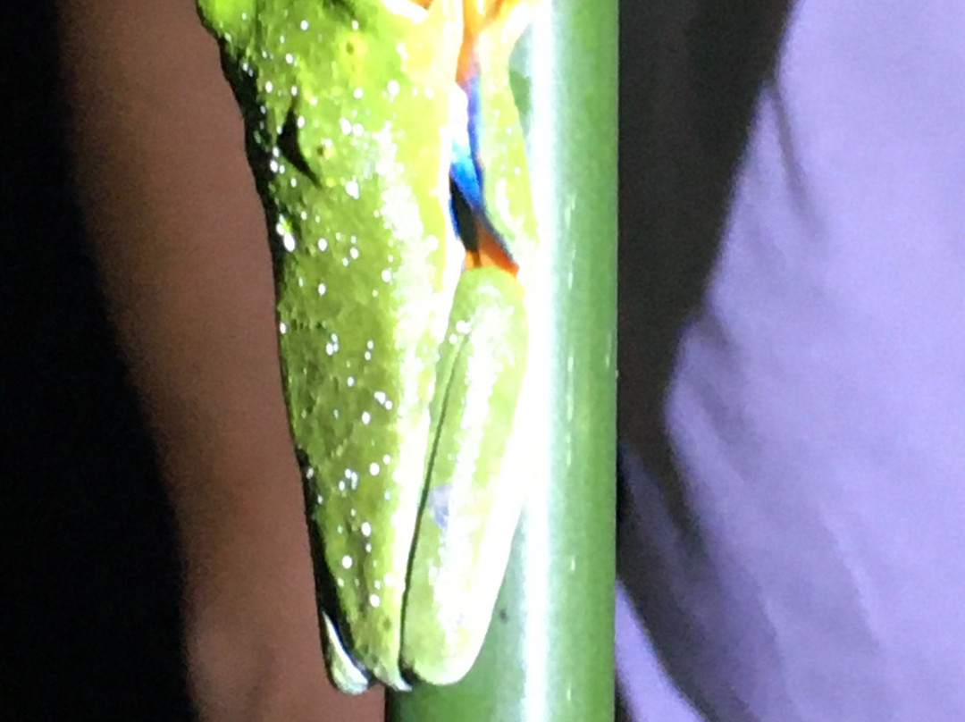 Arenal Vida Campesina-福德圣卡洛斯必去景点